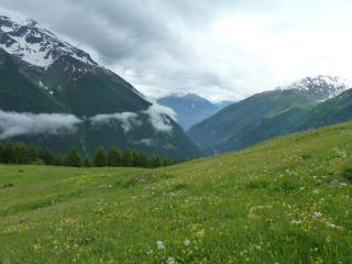 stockeralp