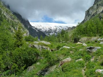 lötschentaler höhenweg