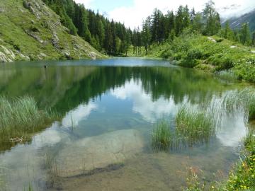 lötschentaler höhenweg