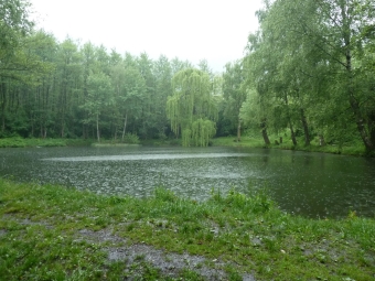 Picknickplatz Latsch