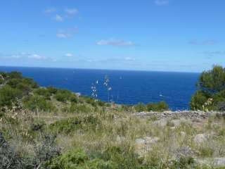 port soller