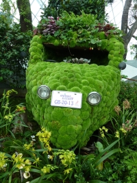 Gardens by the bay