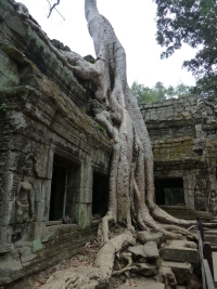 Ta Prohm