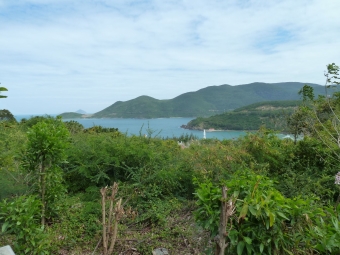 aussicht tempel bamboo island