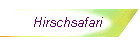 Hirschsafari