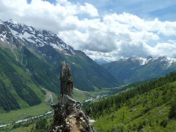 Lötschental