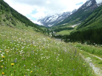 Lötschental