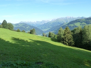 heuberge