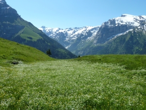 Engelberg