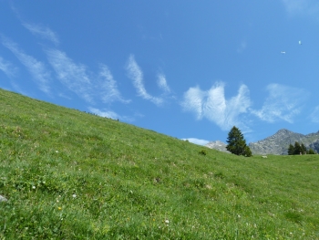 Engelberg