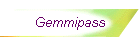 Gemmipass