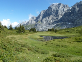 grosse Scheidegg