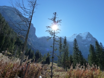 Wetterhorn