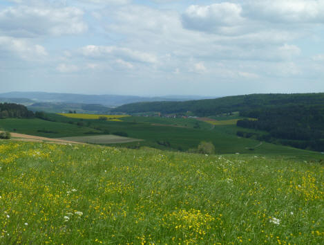 neuhaus am bargen