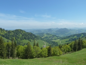 toggenburg