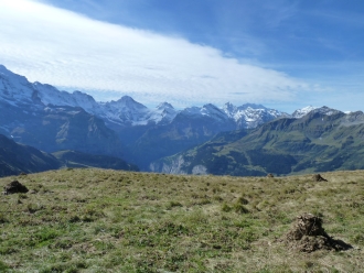 Maennlichen