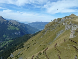 aussicht maennlichen