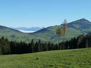 oberhalb appenzell