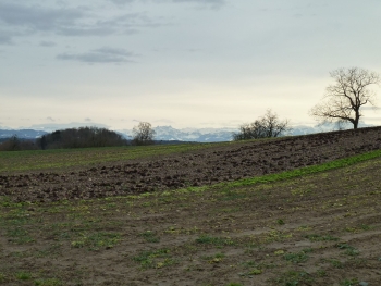 aussicht mit alpen