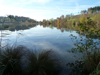 Brauiweiher