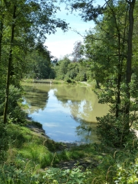 Walcheweiher