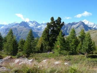 Zermatt