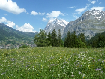 Wetterhorn